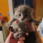 John Evanchak - Facebook Profile Picture of John Evanchak (@john.evanchak.1) on Facebook