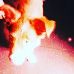 Profile Picture of shelby spain (@shelby_autumn_spain567) on Instagram