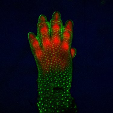 Profile Picture of H Scott Stadler (@hscottstadler) on Twitter