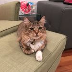 Profile Picture of Kay Glitsos (@kay_glitsos) on Instagram