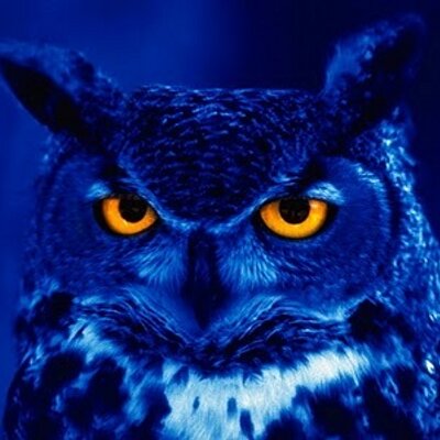 Profile Picture of Sarah Dardick (@SarahDardick) on Twitter