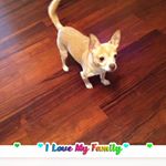 Profile Picture of Sonja Ponder (@sonjaponder) on Instagram