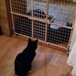 Arnetta Thompson - Instagram Profile Picture of Arnetta Thompson (@arnettathompson) on Instagram