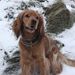 Profile Picture of Jake Gibbons (@jakethomasgibbo) on Pinterest