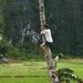 Profile Picture of Thomas Stiller (@stiller2266) on Pinterest