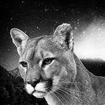 Profile Picture of Cecila (@cecilabreilingjackolantern) on Instagram