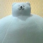 Profile Picture of Jay Chung (@jay.chung) on Instagram