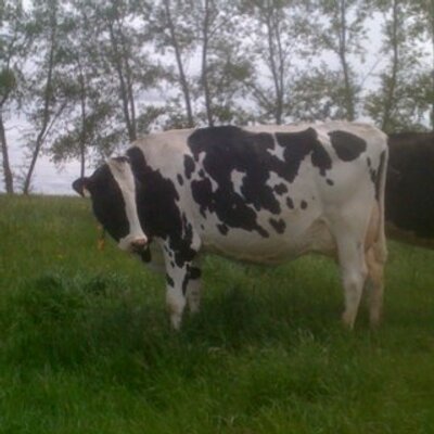 Profile Picture of Brian Bajema (@@skywestbadger) on Twitter