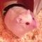 Profile Picture of Lucy Crabtree (@lucy.crabtree.393) on Facebook
