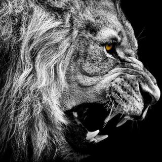 Profile Picture of Daniel Sampson (@Daniel-Sampson) on Facebook