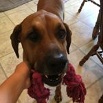 Profile Picture of Jacob Matthew Drake (@turtle11pop) on Instagram