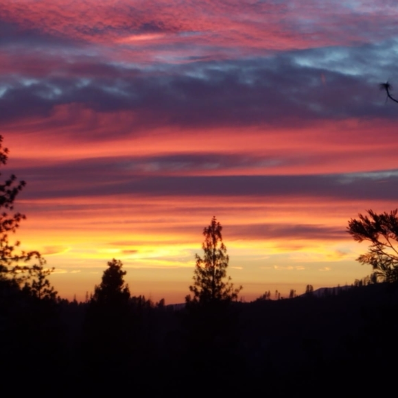 Karen Kinnane - Poshmark Profile Picture of Karen Kinnane (@karenpas1) on Poshmark