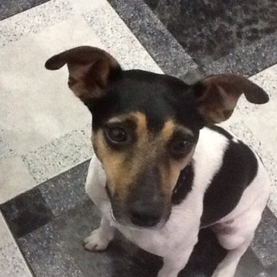 Profile Picture of Mario H Colmenares (@mcolmenarec) on Twitter