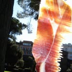 Profile Picture of Christopher John Sinopoli (@christopher.sinopoli) on Facebook