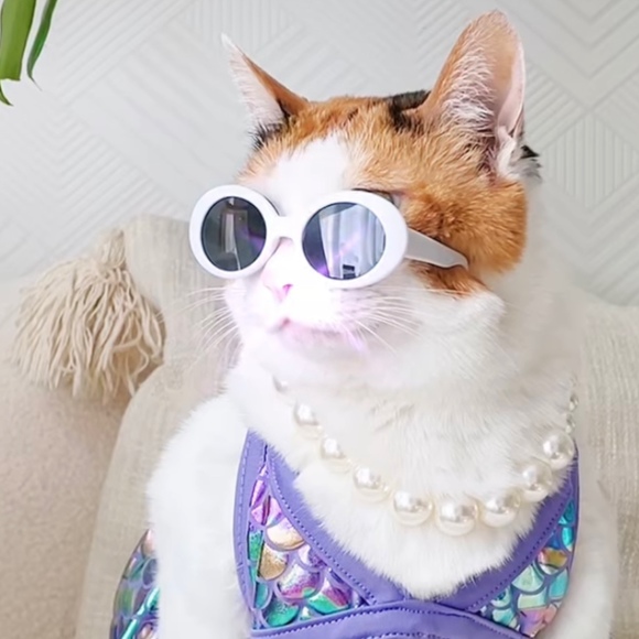 Profile Picture of Lori Bryce (@l_brooke2) on Poshmark