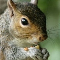 Profile Picture of Craig Chambers (@craig-chambers-16) on Quora