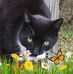 Profile Picture of Glenna Fraley (@glenna.fraley.1) on Facebook