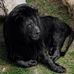 Profile Picture of Harold Starks (@harold.starks.969) on Facebook