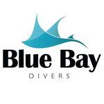 Profile Picture of Blue Bay Divers Byron Bay (@bluebaydivers) on Instagram