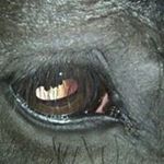 Profile Picture of Kit Murphy (@kitmurphy721) on Instagram