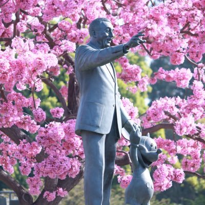 Profile Picture of Joe Oh (@joe_foh_sho) on Twitter