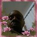 Profile Picture of Ronald Easley (@ronald.easley.779) on Facebook