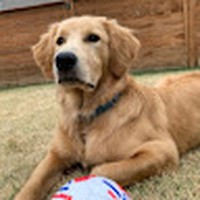 Profile Picture of Matthew Saito (@matthew-saito-2) on Quora