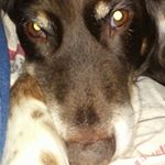 Profile Picture of brian lupton (@brian_lupton) on Instagram