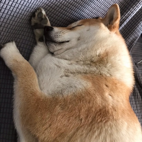 Profile Picture of Doris Liu (@dorisliuyvr) on Poshmark