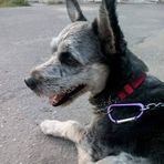 Profile Picture of Carlos Eggers (@Carlos-Eggers) on Facebook