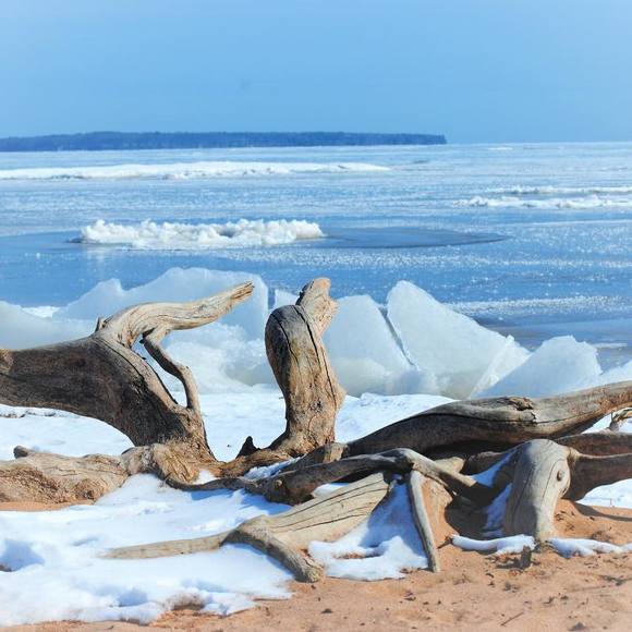 Profile Picture of Teresa Lindenberg (@tlindy04) on Poshmark