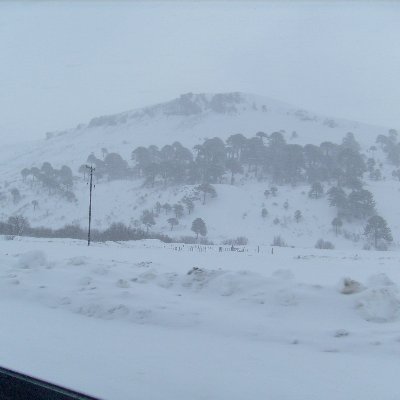 Damian Levy - Twitter Profile Picture of Damian Levy (@Damianlevy4) on Twitter