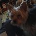 Profile Picture of Kim Hafner (@kim.cloyd.92) on Facebook