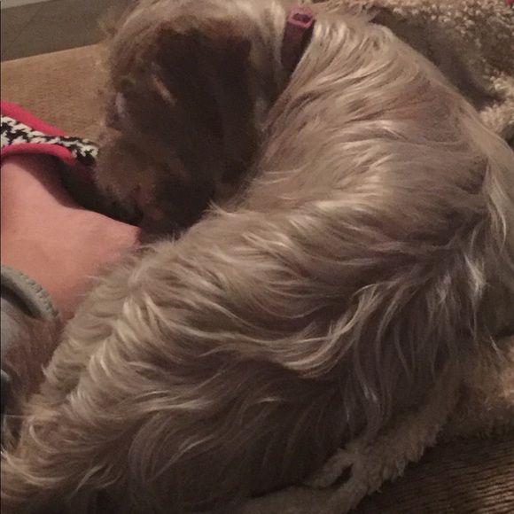 Profile Picture of Courtney Chessher (@cschessher) on Poshmark