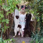 Profile Picture of Zoé Havers (@zoehavers) on Instagram