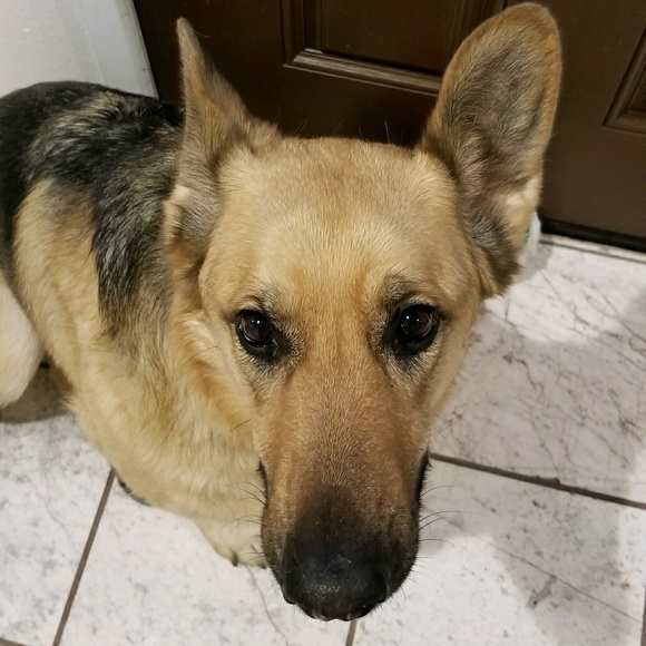 Profile Picture of Mika Schrock (@twinksy11) on Poshmark