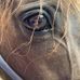 Profile Picture of Cindy Dunlop (@cindy.dunlop.77) on Facebook