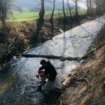 Profile Picture of Paul Labahn (@paullabahn_) on Instagram