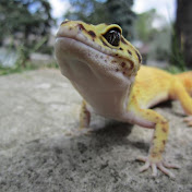 Profile Picture of Jack Daniel Dawson (@jackdanieldawson4853) on Youtube