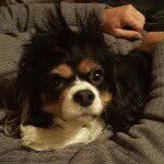 Profile Picture of Tracy Jacobs (@tracy.jacobs) on Instagram