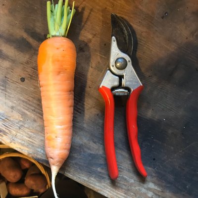 Profile Picture of James Alexander-Grout (@TheUrbanGardene) on Twitter