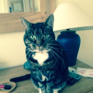 Profile Picture of Claire Sutherland (@cathistory) on Myspace