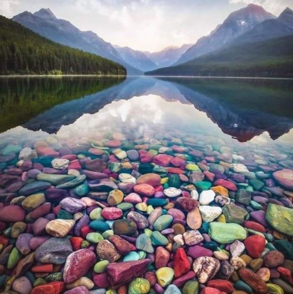 Profile Picture of Tracie Farmer (@1mamabearx5) on Poshmark