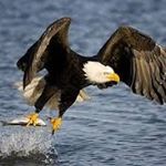 Profile Picture of Eduardo Jesús (@gilbertaviles3) on Instagram