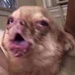 Profile Picture of Tamara Rojas (@tamararojas212) on Instagram