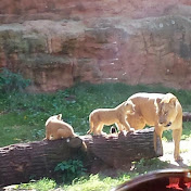 Profile Picture of Dennis Jaeger (@sarchentt3951) on Youtube