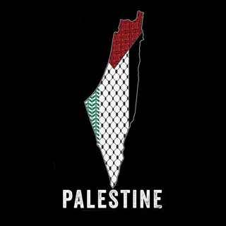 Profile Picture of Mohammed Assaf🇵🇸 (@mohammedassaf89) on Instagram