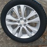 fernando bastidas - Instagram Profile Picture of fernando bastidas (@ferllantas) on Instagram