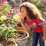 Profile Picture of Akiko Mack (@akikomack) on Instagram