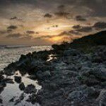 Profile Picture of Bert Lopez (@bertranbarrylopez) on Instagram